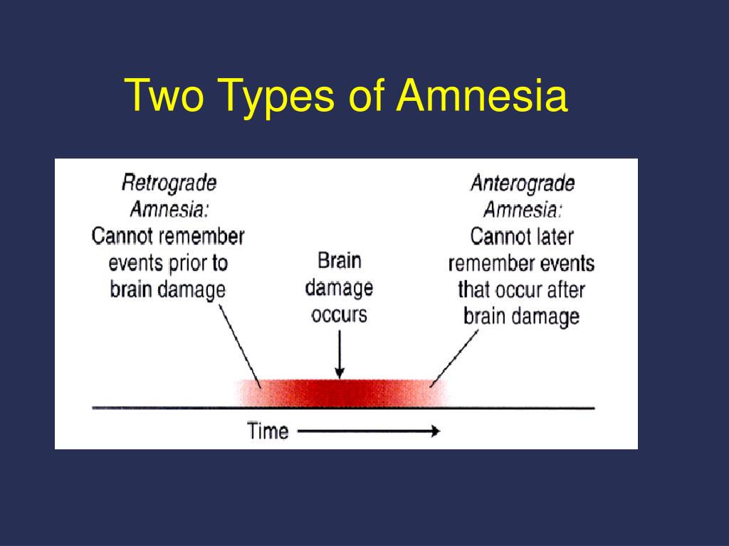 amnesia causes and types amnesia causes and types