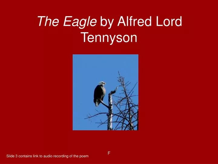analysis on eagle by lord alfred analysis on eagle by lord alfred