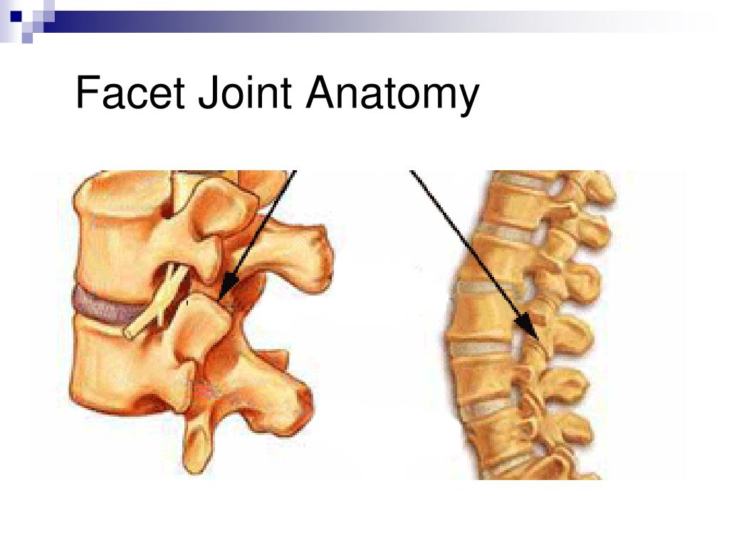 PPT The Role of Physiatry in Occupational Medicine January 31, 2013
