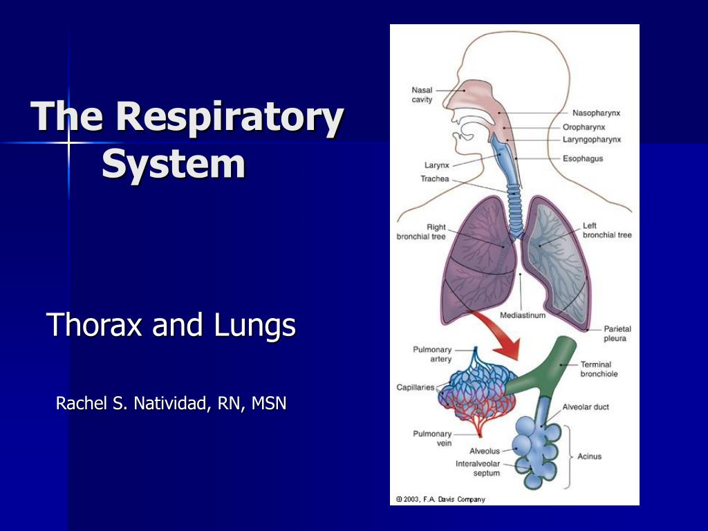 respiratory system case presentation