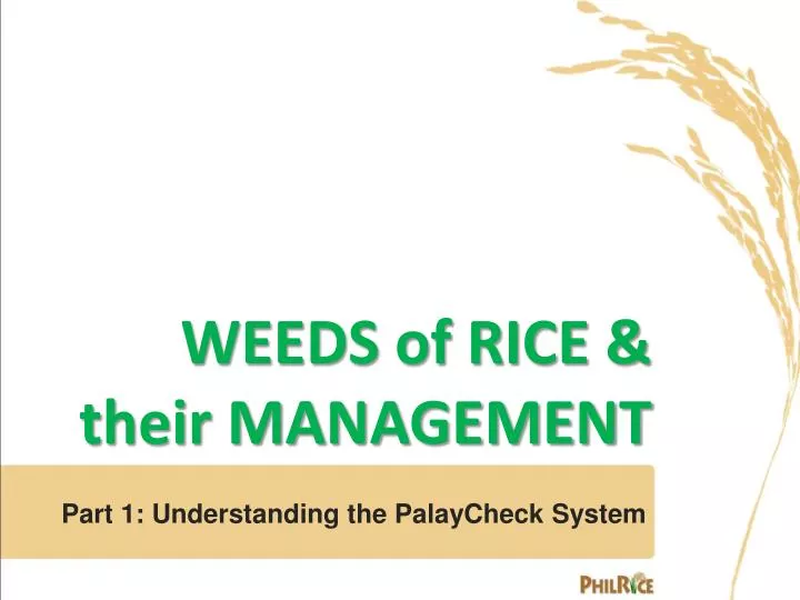 PPT WEEDS Of RICE Their MANAGEMENT PowerPoint Presentation Free 