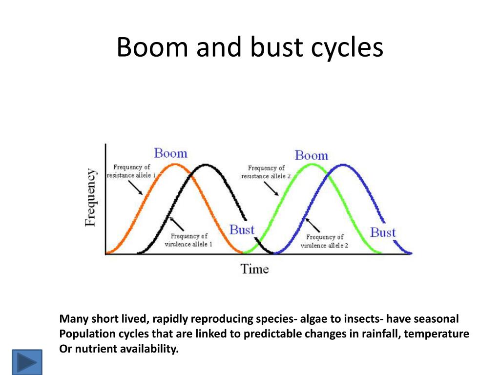 Boom and Bust  cycle - Bio Brains