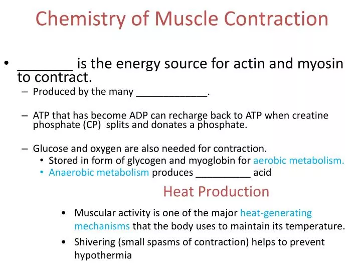muscle contraction ppt