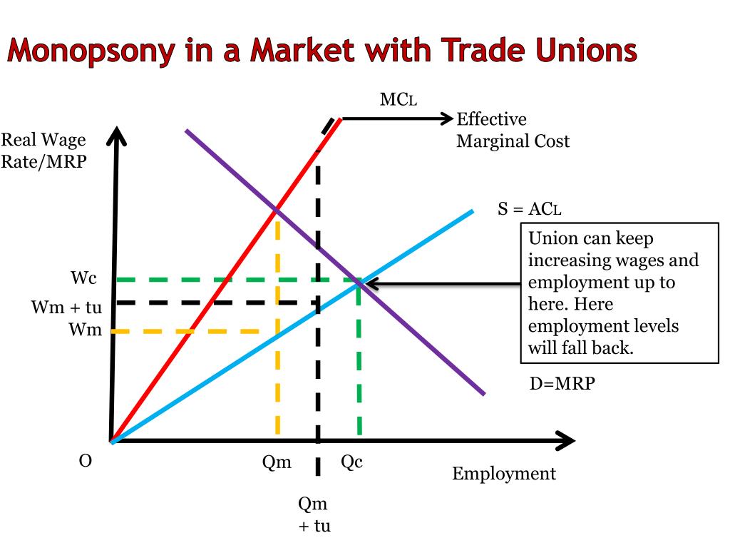 PPT - Monopsony In The Labour Market PowerPoint Presentation, Free ...