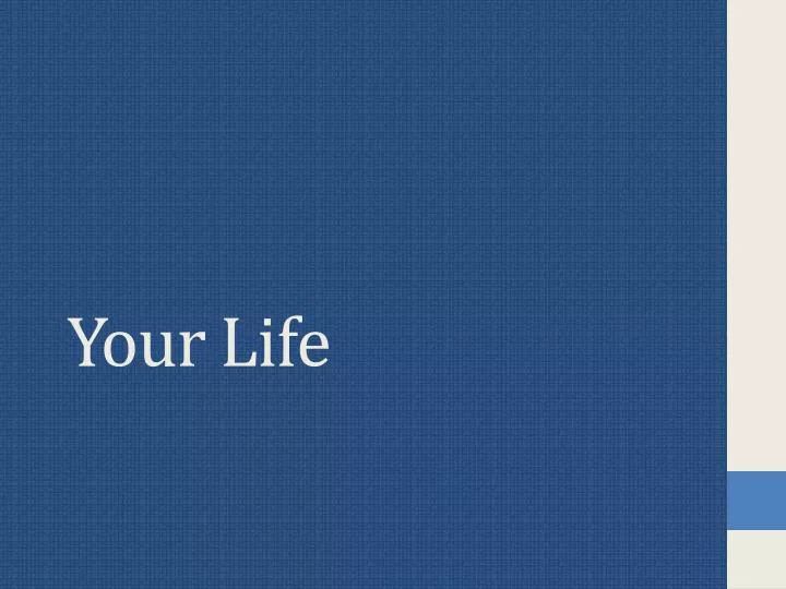 your life n.