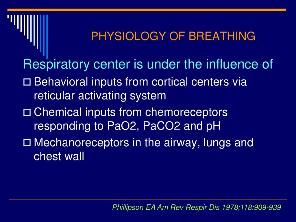 PPT - SLEEP IN PATIENTS WITH CHRONIC RESPIRATORY DISEASES – A Wake Up ...