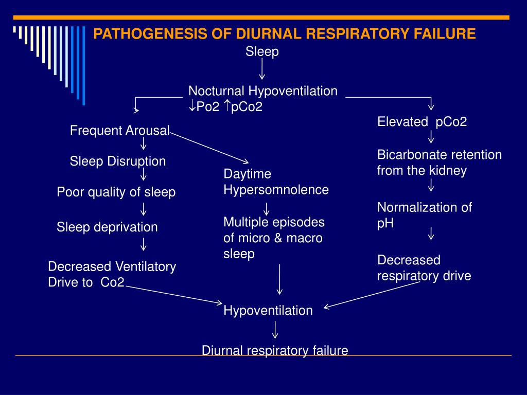 PPT - SLEEP IN PATIENTS WITH CHRONIC RESPIRATORY DISEASES – A Wake Up ...