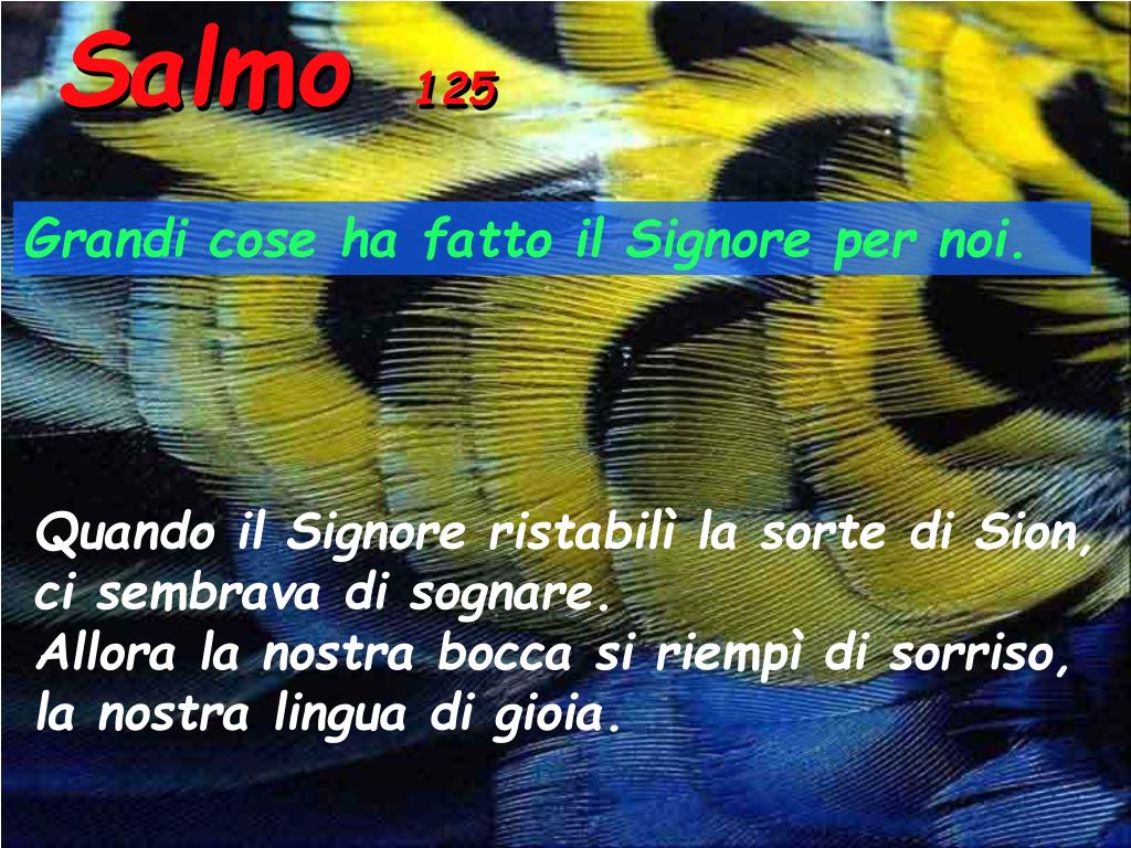 Grandi Cose Ha Fatto Il Signore Per Noi Testo PPT - Anno C PowerPoint Presentation, free download - ID:2998173