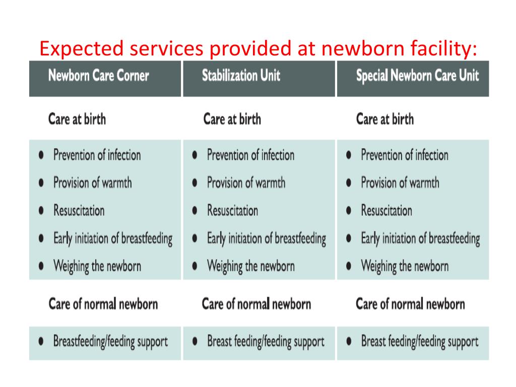 PPT Initiatives for Strengthening Newborn Care PowerPoint
