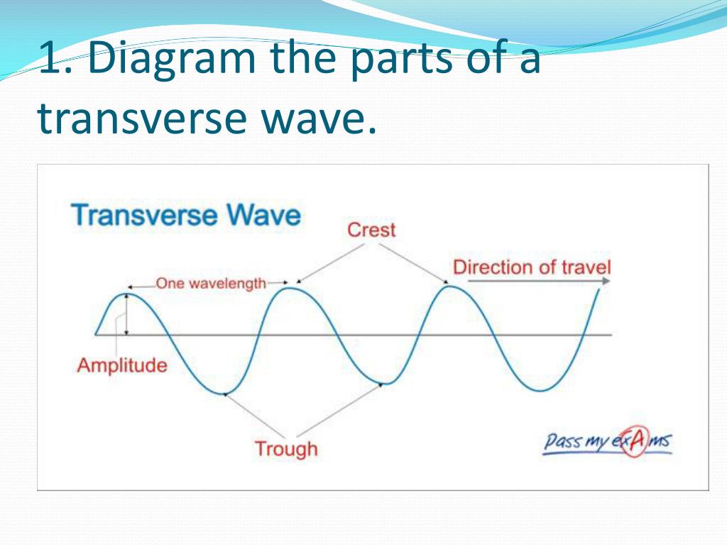 Label A Wave Diagram