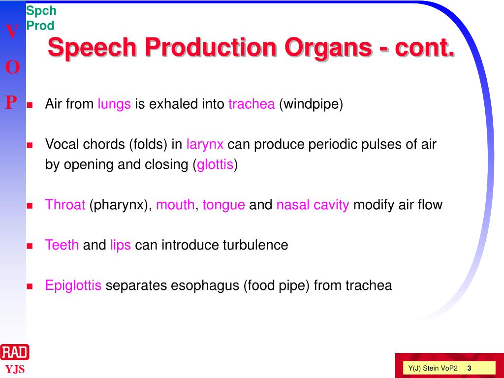 speech production definition