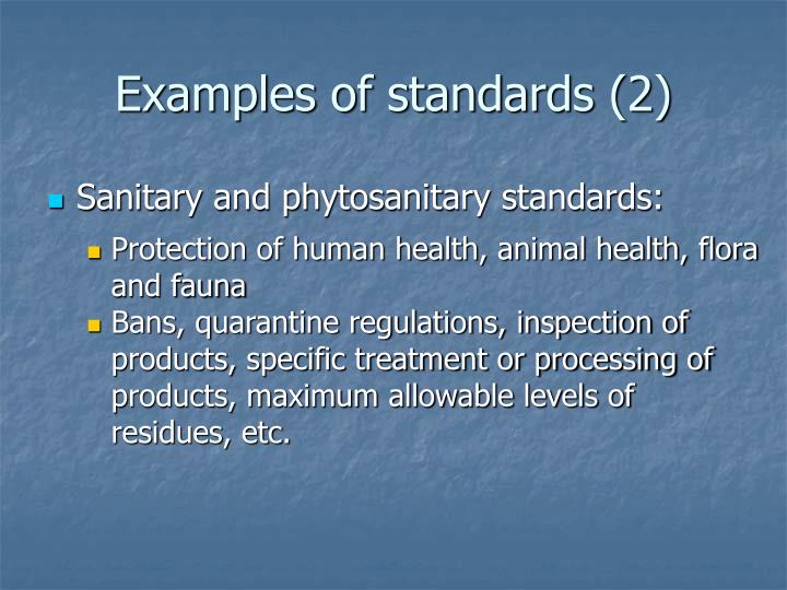 PPT - Raising the Bar on Products and Process Standards: Economic ...