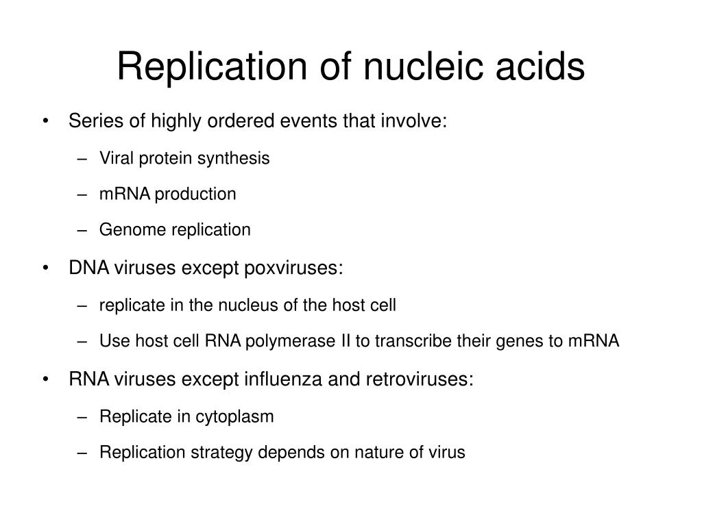PPT Medical Virology Lecture 31 (finally!) The DNA Viruses PowerPoint