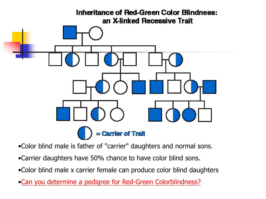 Red Green Color Blindness Pedigree Chart - Solved The Shaded Individuals Ha...