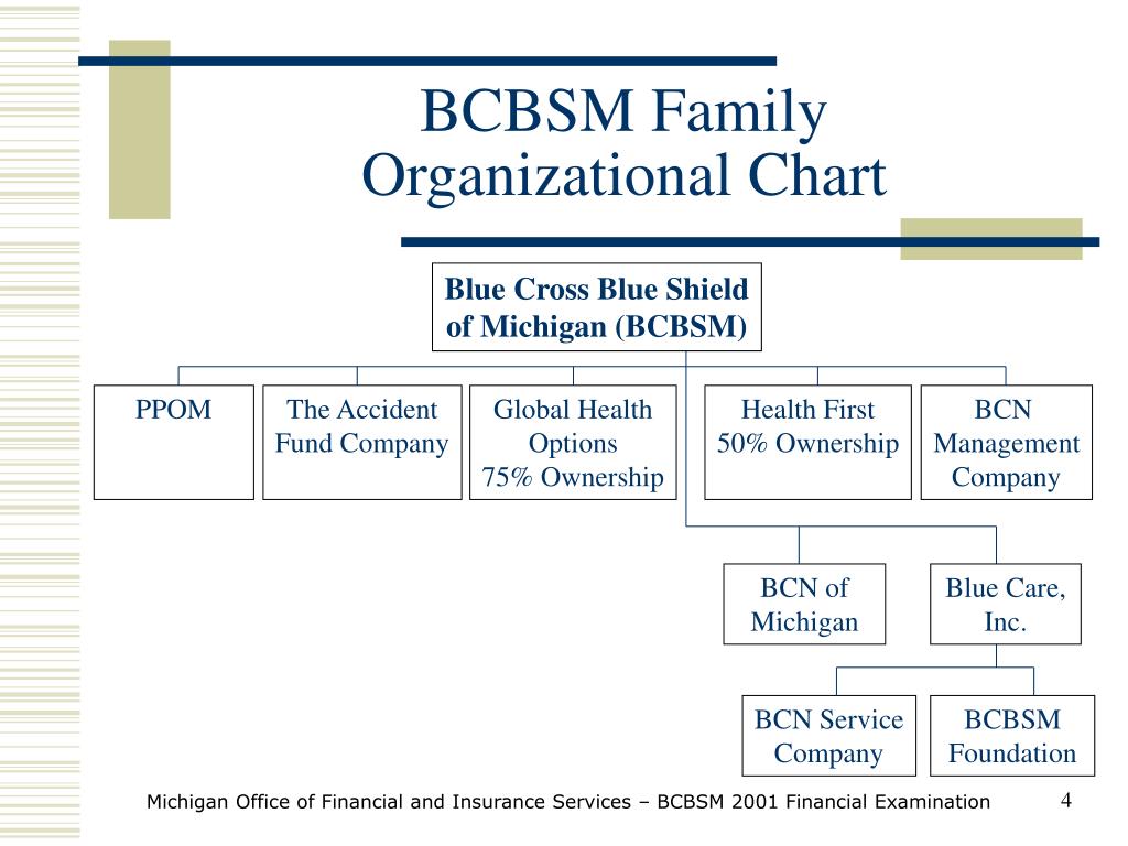 Blue Cross Blue Shield Of Michigan Organizational Chart