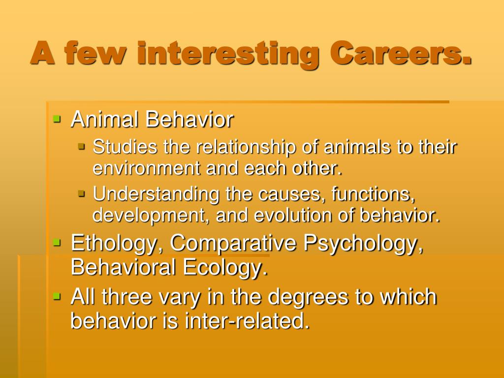 PPT Animal Science Careers PowerPoint Presentation, free download