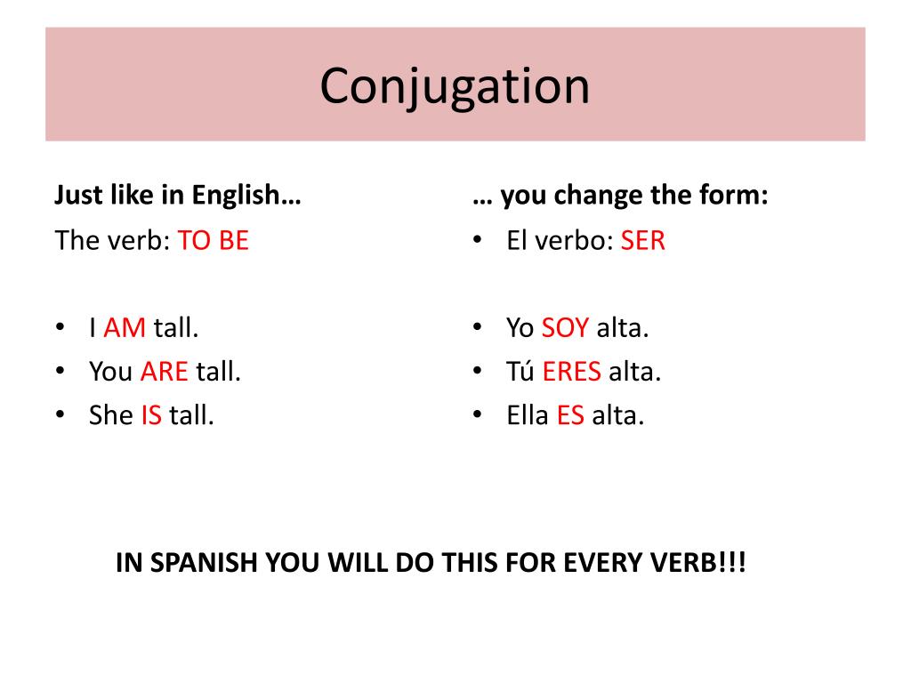 Conjugation.