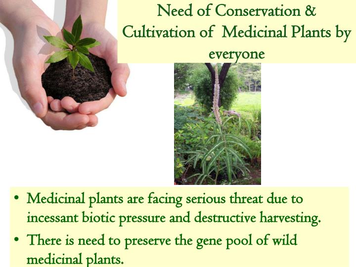 PPT - Need of Conservation & Cultivation of Medicinal Plants by ...