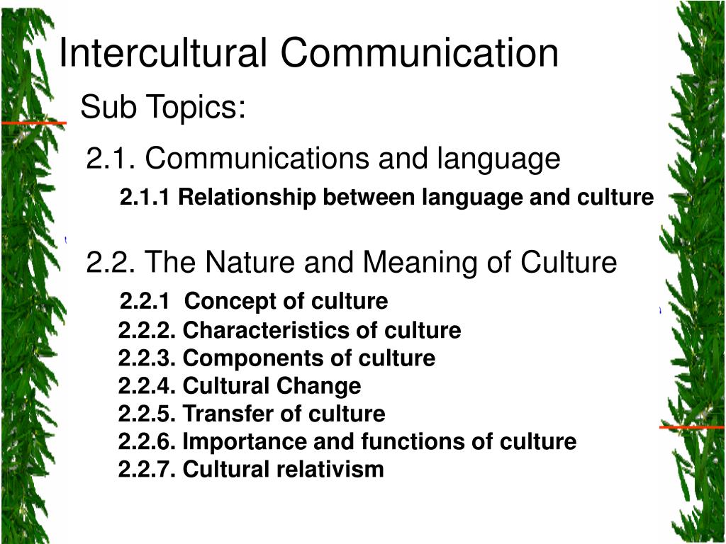personal statement for intercultural communication