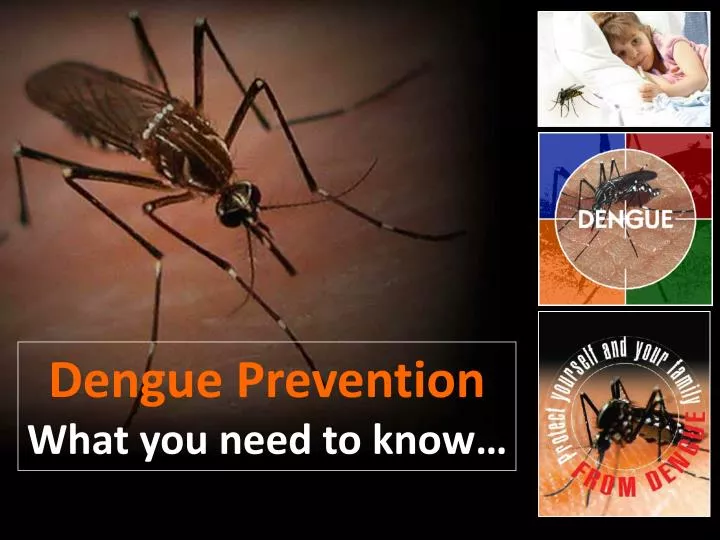 presentation in dengue