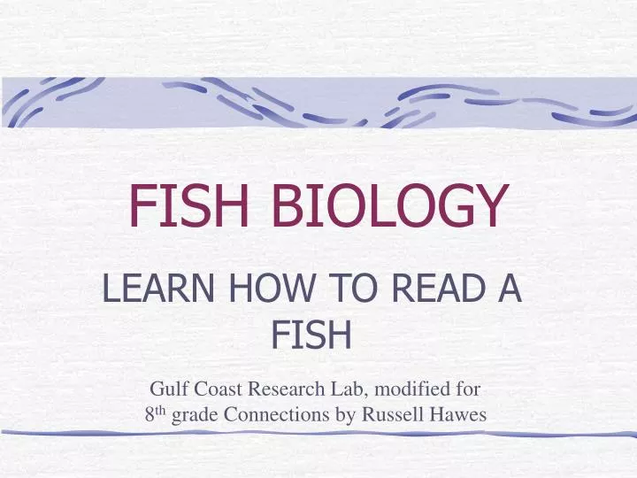fish biology n.