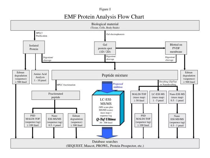 Emf Chart