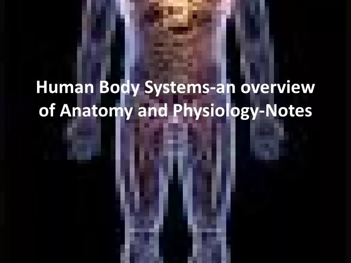 organ system overview