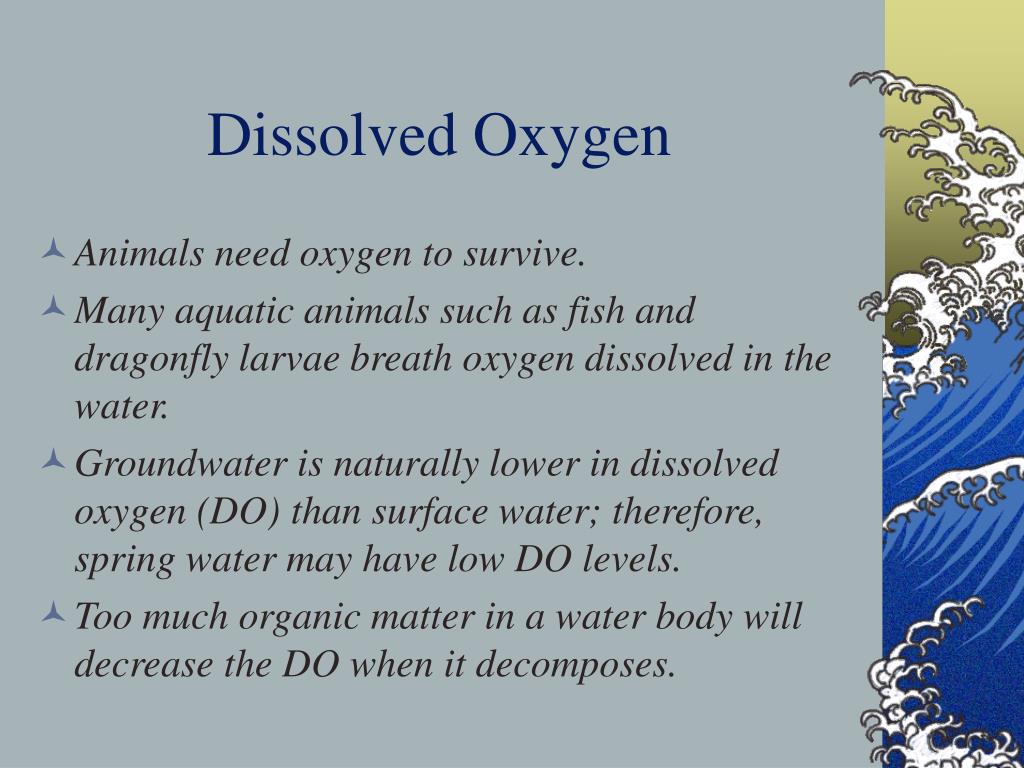 Do In Water PPT - Year of Clean Water: National Water Monitoring Day PowerPoint ...