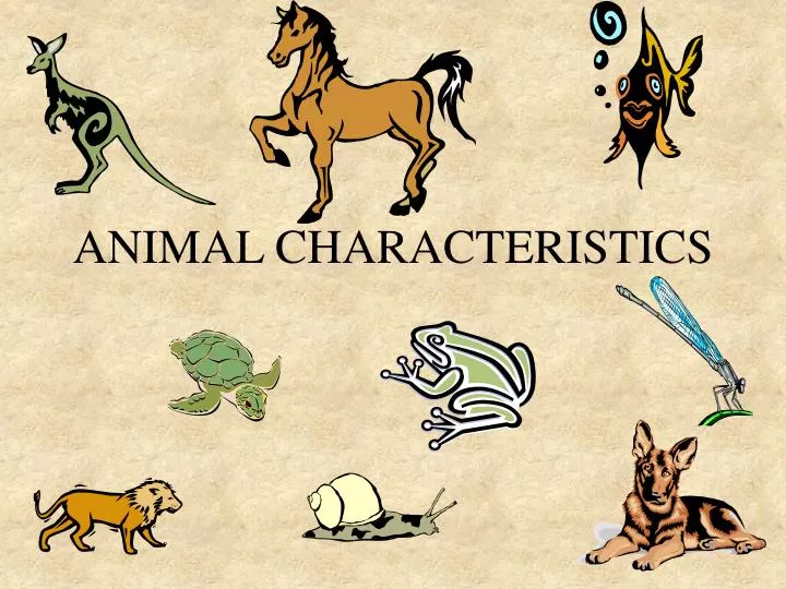 Ppt Animal Characteristics Powerpoint Presentation Free Download Id 3007472