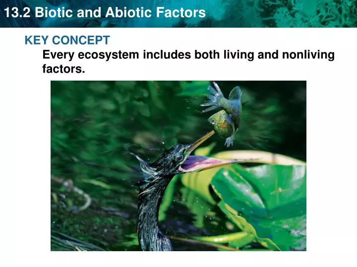 living and nonliving factors that contribute to energy conservation Best answer: living and nonliving factors that contrribute to or are affected by energy conservation is animals (herbivores, carnivores, and omnivores) humans and. living and nonliving factors that contribute to energy conservation Best answer: living and nonliving factors that contrribute to or are affected by energy conservation is animals (herbivores, carnivores, and omnivores) humans and.