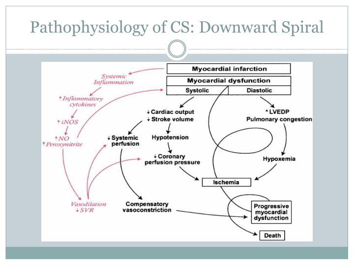 pathophysiology of myocardial infarction essay View and download myocardial infarction essays examples also discover topics, titles, outlines, thesis statements, and conclusions for your myocardial infarction essay. pathophysiology of myocardial infarction essay View and download myocardial infarction essays examples also discover topics, titles, outlines, thesis statements, and conclusions for your myocardial infarction essay.