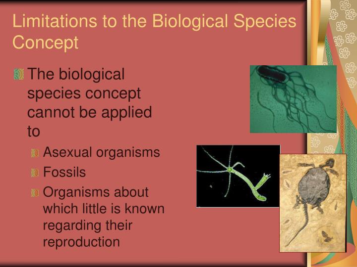 Ppt speciation powerpoint presentation id 3009741