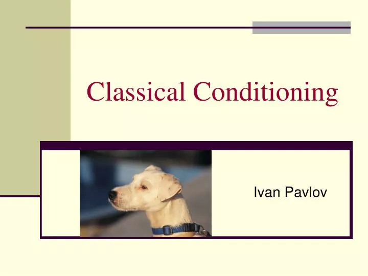 classical conditioning n.