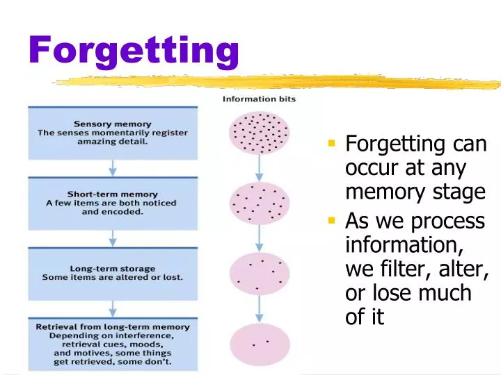 memory and forgetting This lecture talks about memory and forgetting how to memorize fast and easily | improve memory training techniques to remember anything quickly - duration: 20:20. memory and forgetting This lecture talks about memory and forgetting how to memorize fast and easily | improve memory training techniques to remember anything quickly - duration: 20:20.