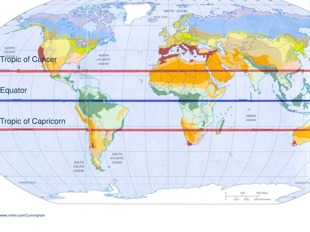 Дальше от экватора расположена зона. Северный Тропик и Экватор. Северный Тропик и Южный Тропик на карте. Экватор Южный Тропик.