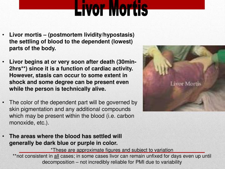 PPT POST MORTEM INTERVAL PowerPoint Presentation ID3012503