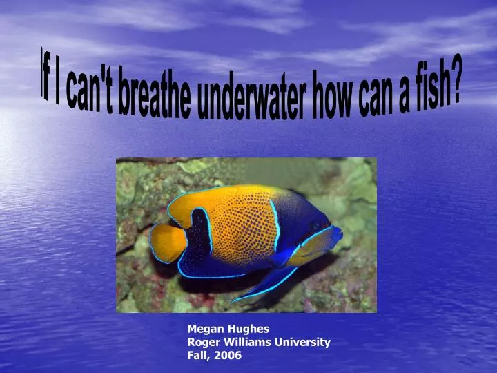 PPT If I can't breathe underwater how can a fish? PowerPoint
