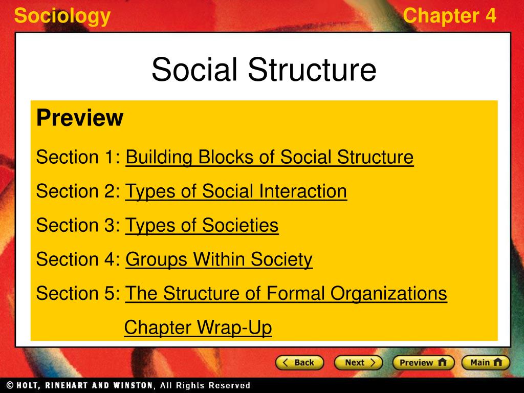 social structure assignment