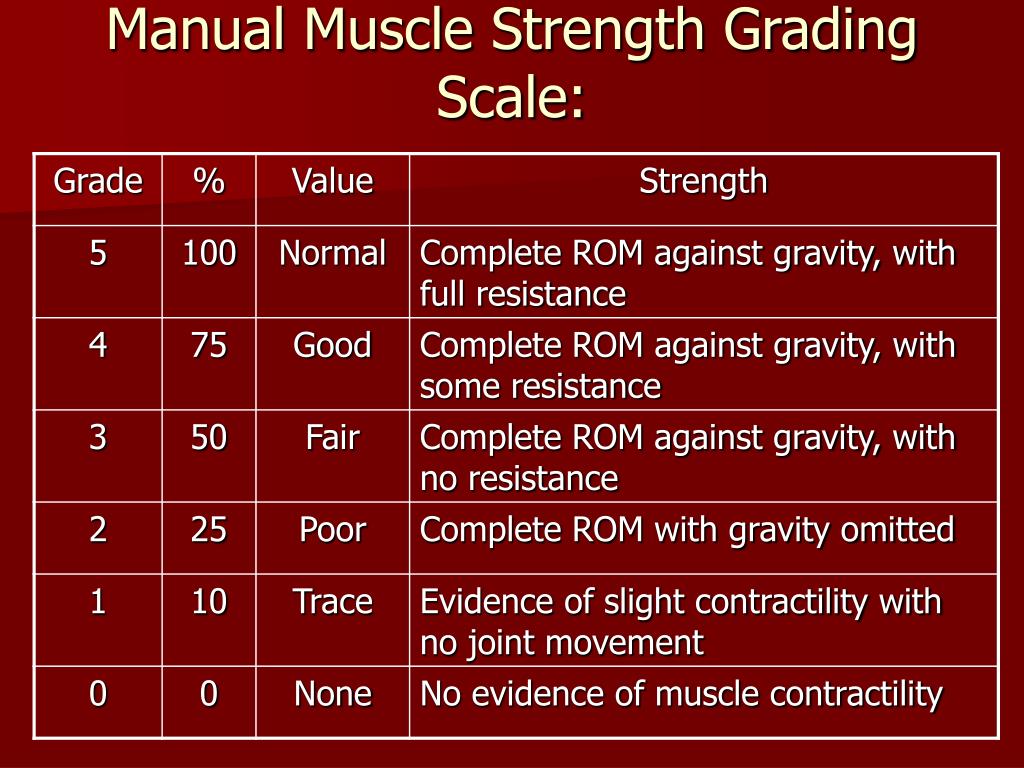 grade-2-muscle-strength