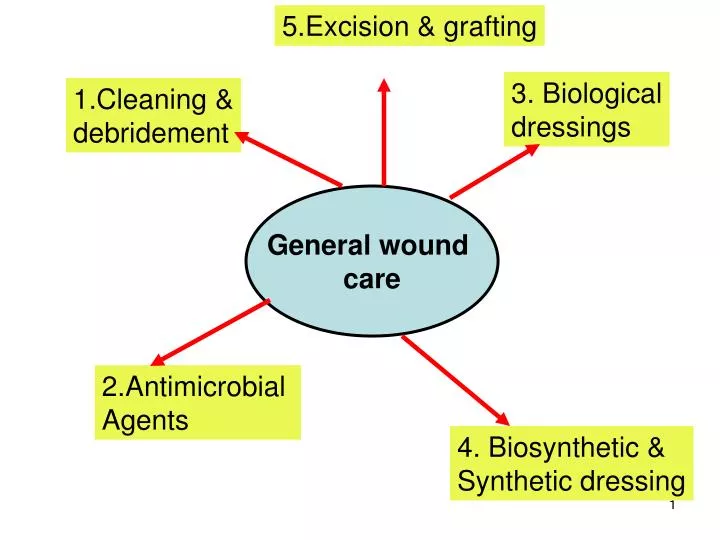 PPT - General wound care PowerPoint Presentation, free download - ID:3014597