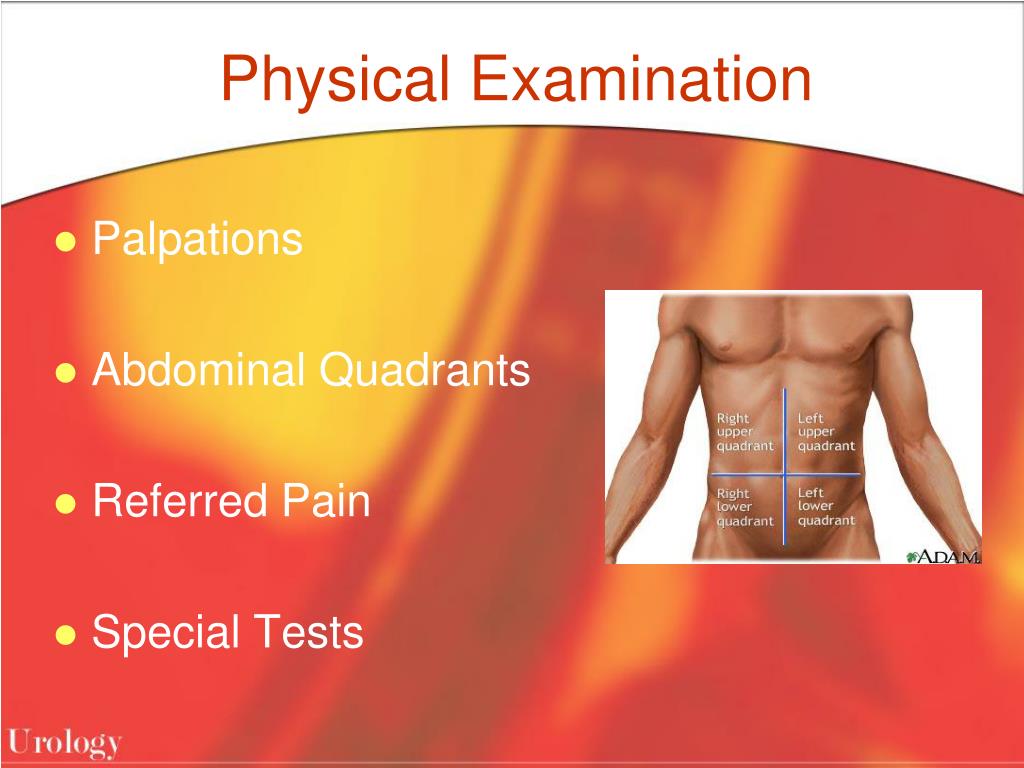 PPT Gastroenterological Pathology PowerPoint Presentation, free PPT Gastroenterological Pathology PowerPoint Presentation, free