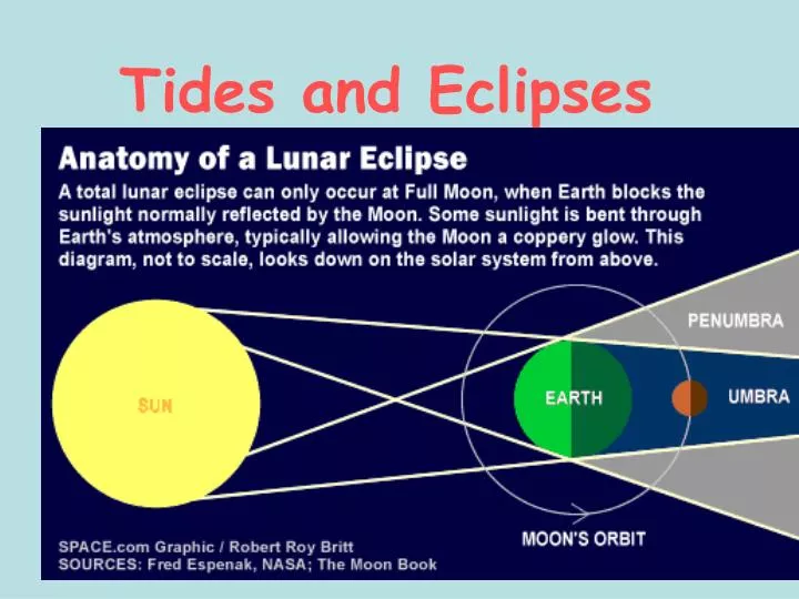 PPT - Tides and Eclipses PowerPoint Presentation, free download - ID