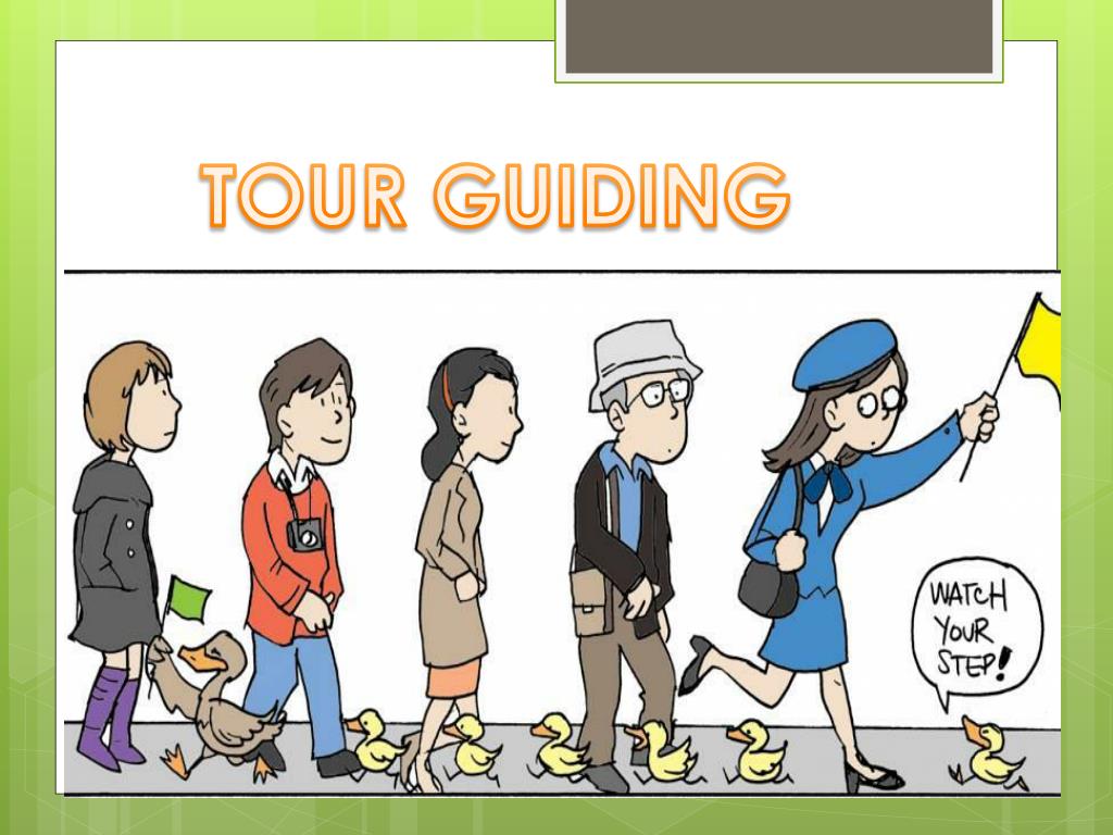 what is tour guide in english
