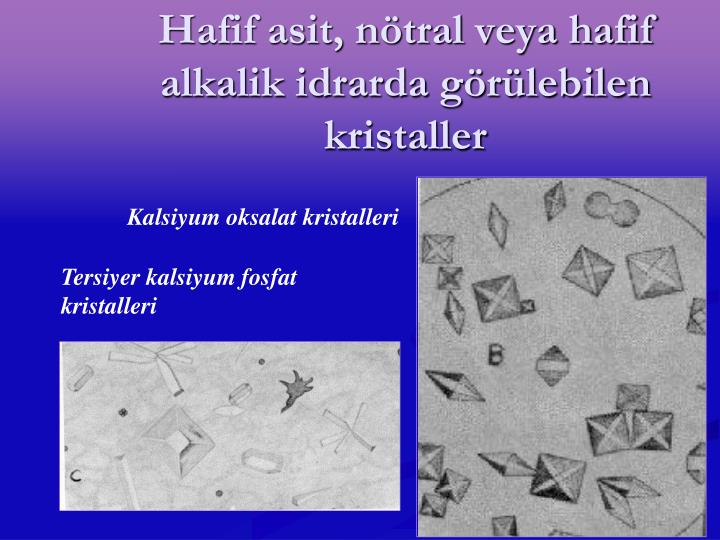 İnşaatta güvenlik: olmak ya da olmamak İnşaatta güvenlik: olmak ya da olmamak
