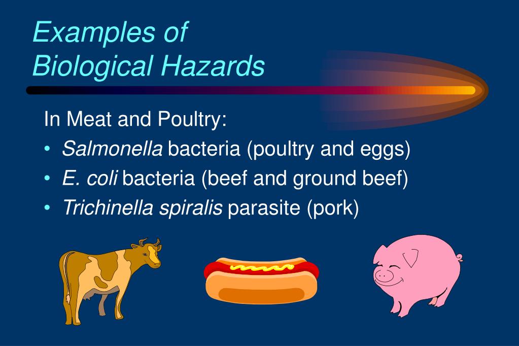 Ppt module 1 understanding hazards associated with foods powerpoint
