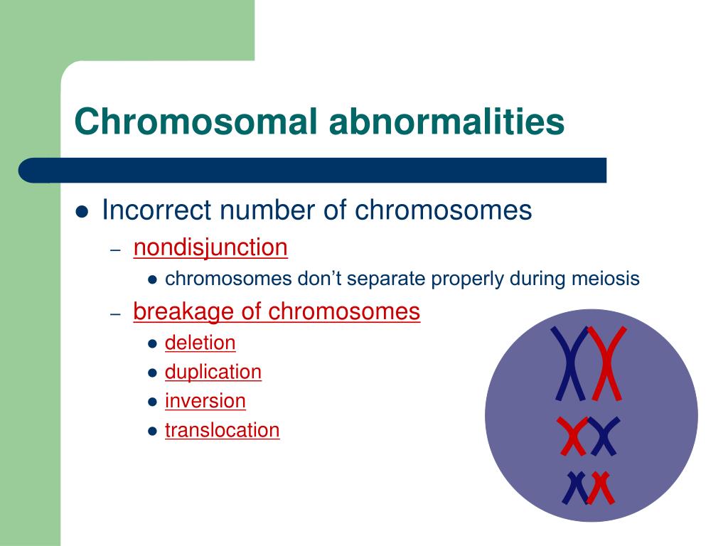 Ppt Chapter 15~ The Chromosomal Basis Of Inheritance Powerpoint