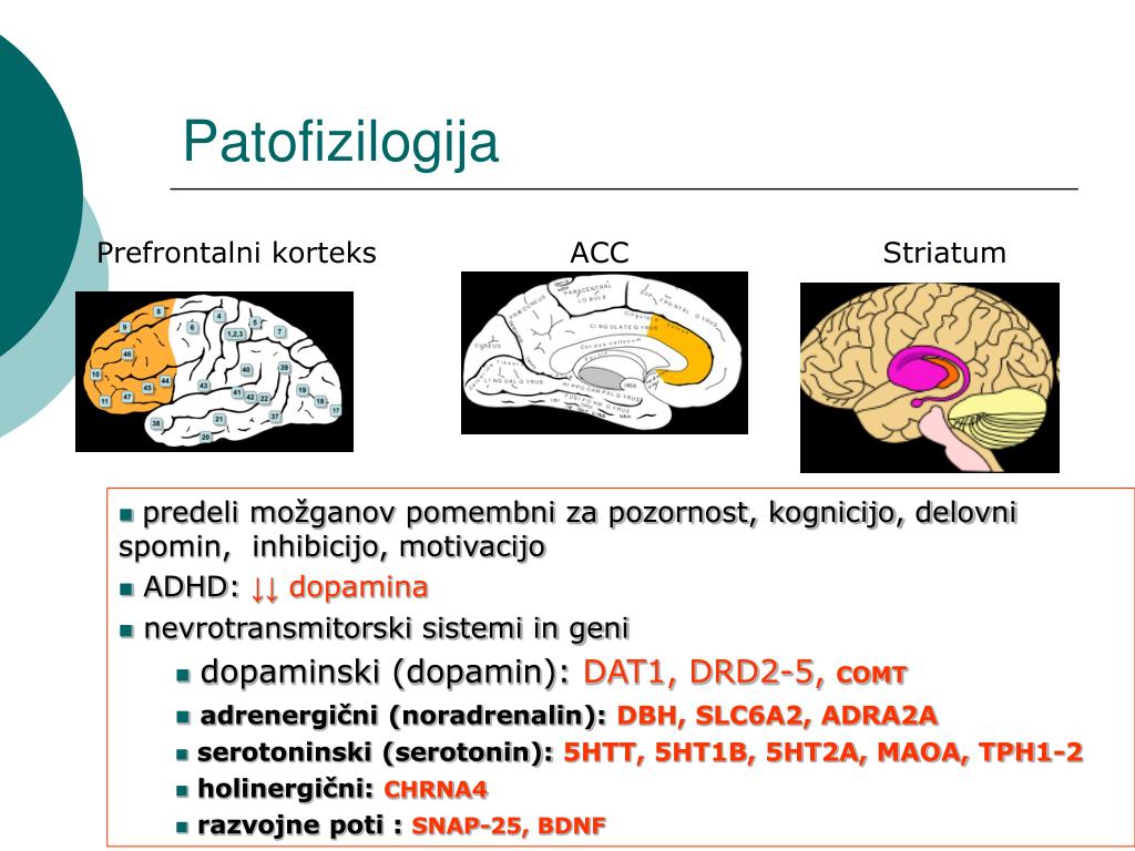PPT - Novosti pri zdravljenju ADHD PowerPoint Presentation, free download -  ID:3019150