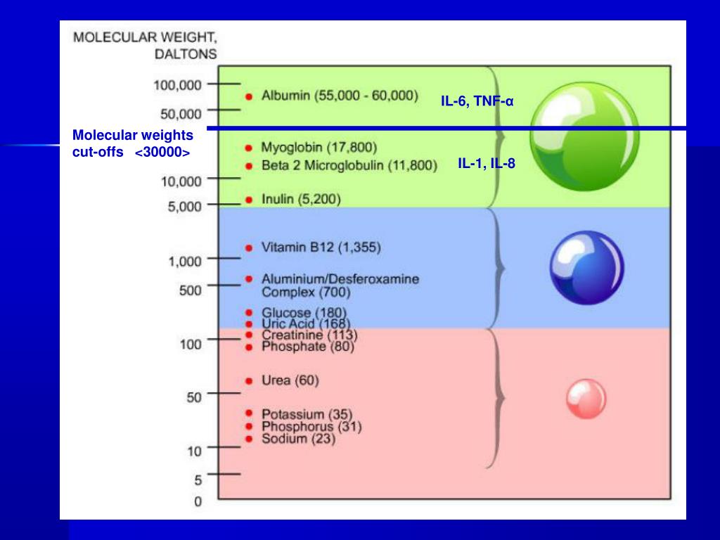 PPT Evolution of Renal Replacement Therapy PowerPoint Presentation