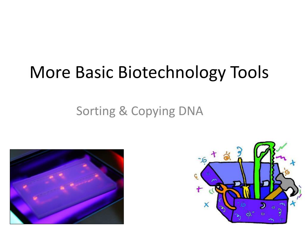 PPT - More Basic Biotechnology Tools PowerPoint Presentation, free download  - ID:3019239