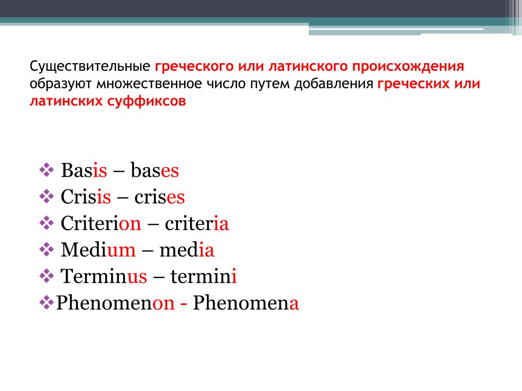 2 образование множественного числа существительных